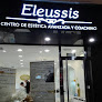 Negocio Eleussis - Centro De Estetica Avanzada , Coaching , Reiki