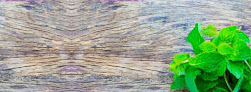 Negocio Menta Centro De Estetica